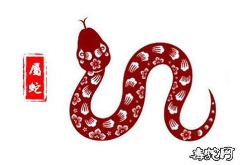 蛇的幸运数字
