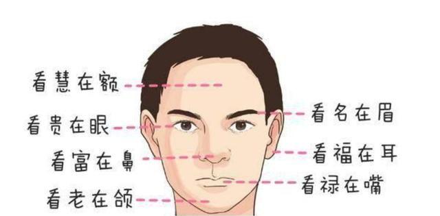 从耳朵上解读这个男人是否有福