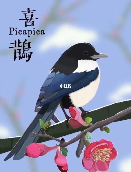 6月喜鹊报喜 4星座将财源滚滚 飞黄腾达