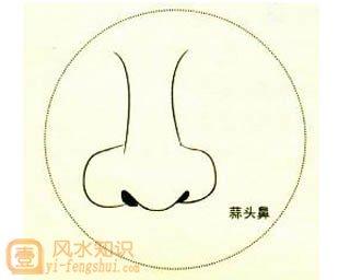 猪胆鼻是不是旺夫鼻