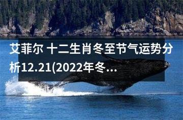 艾菲尔 十二生肖冬至节气运势分析12.21-12.27
