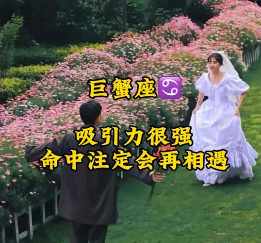 11月中旬,4星座桃花逆袭,重新吸引前任