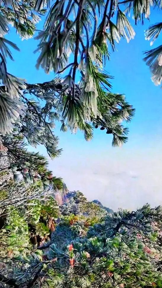 梦见峰峦周公解梦，梦见峰峦是什么意思？