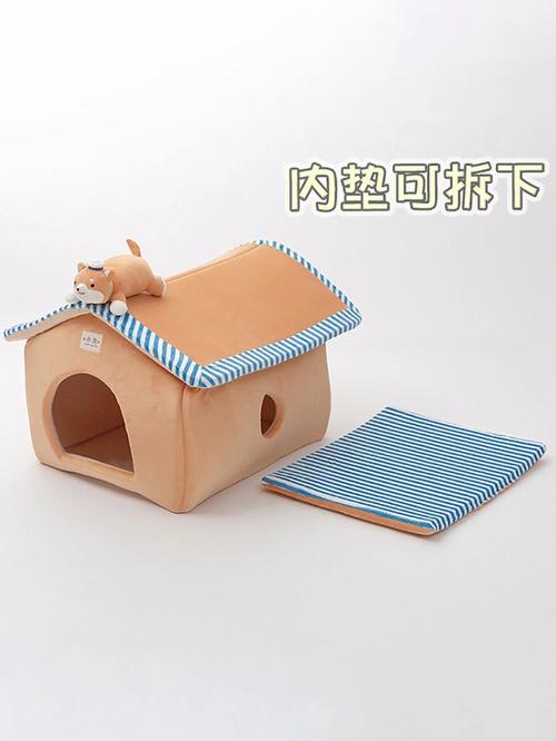 房子小,宠物多的危害