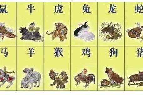 冲煞生肖查询 2022年8月26日属什么冲什么生肖
