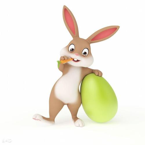 属兔的人2012年开运法
