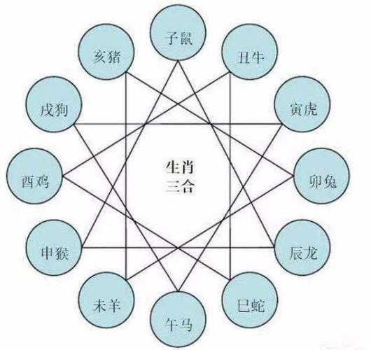 属鼠的和什么属相相克