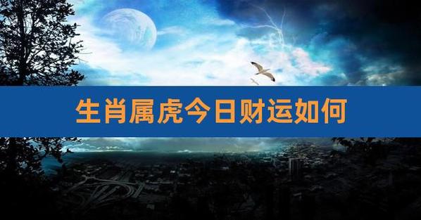 属虎今年财运如何