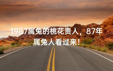 属兔人的桃花贵人是谁