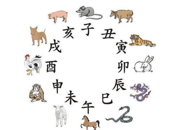 喜欢美容的属相
