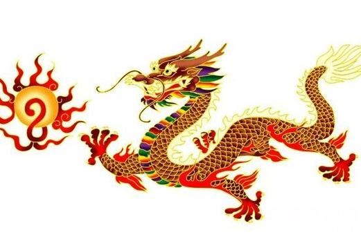 属龙毕业后会选择做什么