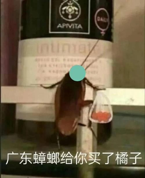 梦见恙螂怎么回事