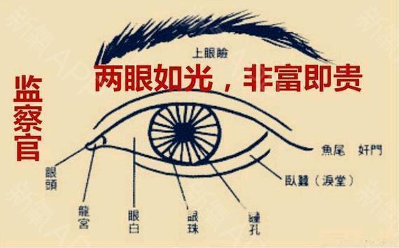 亲缘关系淡泊,可大富大贵的螺旋眉面相分析