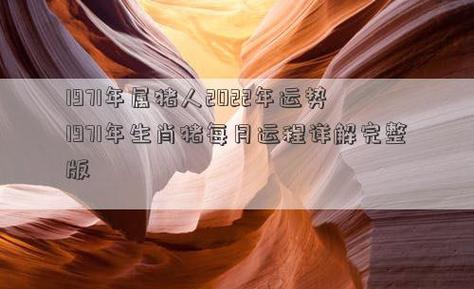 51岁1971年的属猪人在2022年上半年运势