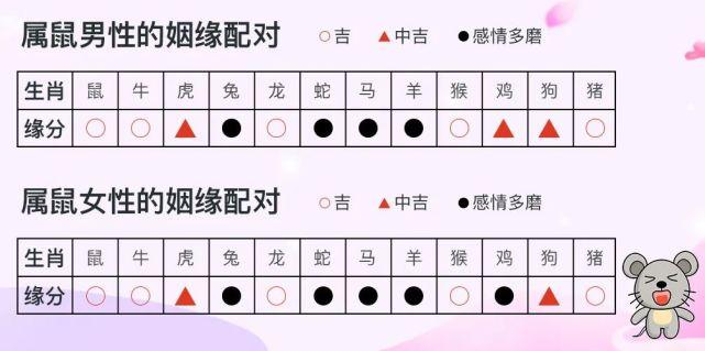 十二生肖的爱情盲点