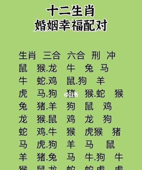 两个属鼠的人姻缘婚配如何