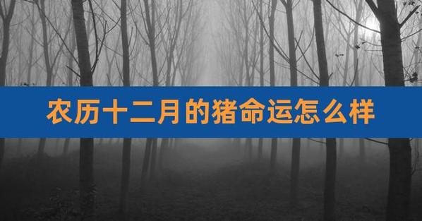 2022年农历十二月猪男前任会不会回来