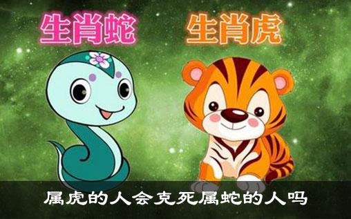 生肖虎与风水关系