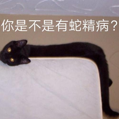 测测你是那种蛇精病?