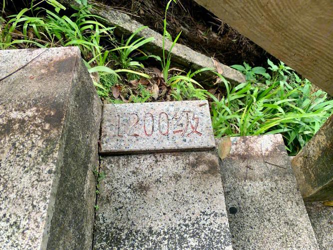 梦见下很陡的台阶预示着什么