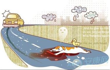 梦见死狗在水里是什么意思