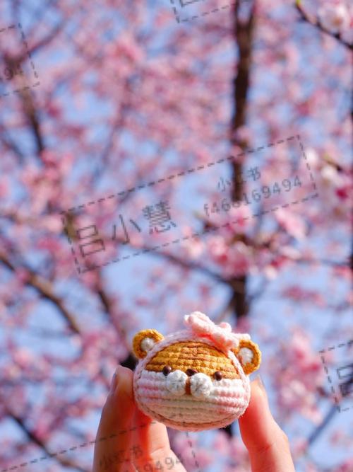 梦见樱花被风吹落