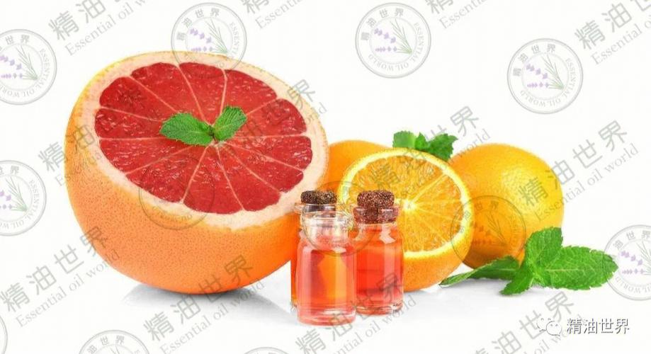 12生肖的本性