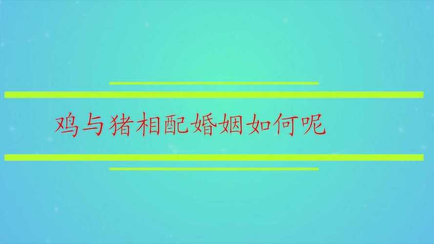 鸡与猪合吗,他们婚姻生活如何