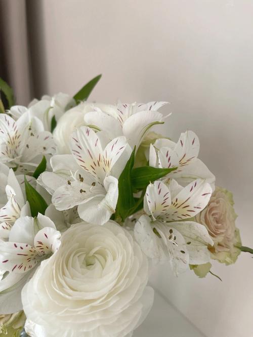 梦见花朵,鲜花详解