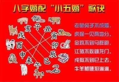 这两个生肖在一起,上上等婚姻