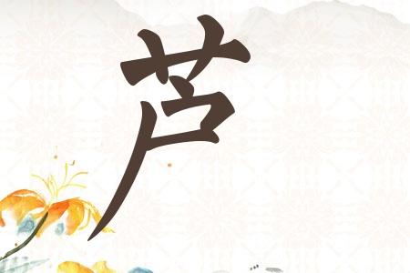 芦姓男孩取名内涵诗意名字推荐