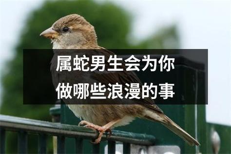 属蛇男生会为你做哪些浪漫的事