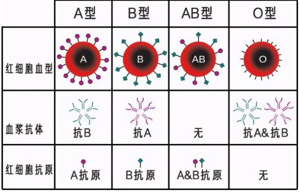 纠结帝!论纠结你绝对比不过这个血型
