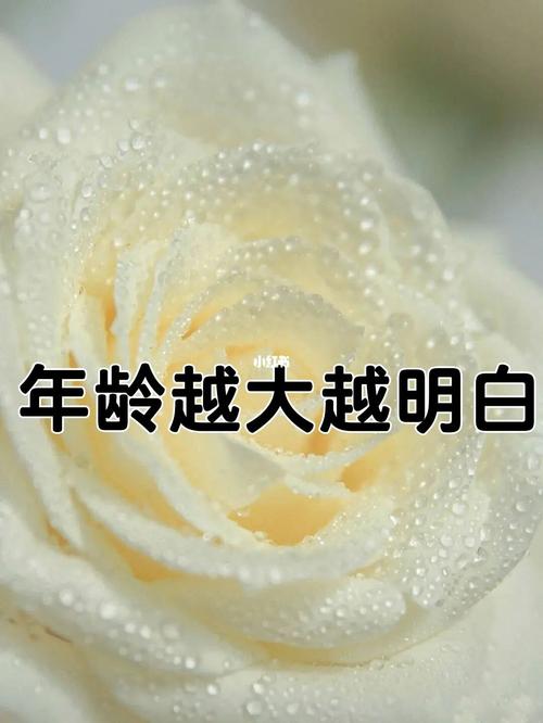 年龄越大越富贵的出生日