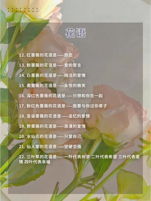 爱情花语:什么花代表不变的爱?