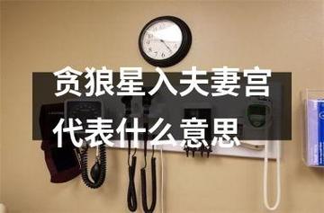 贪狼在夫妻宫是什么意思