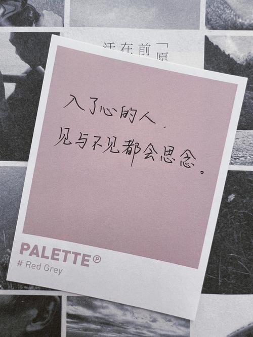 梦见坐车去旅行,恋爱别太暧昧