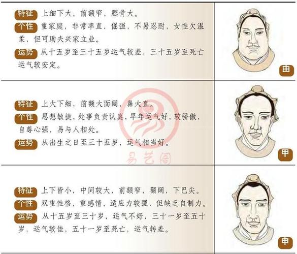 面相的形成及类别