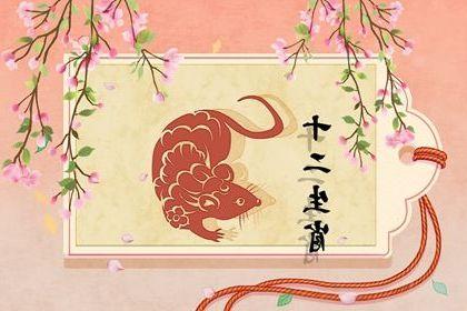 属鼠明年运势2022