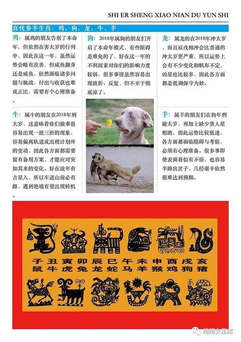 2023年不宜搬新家的生肖