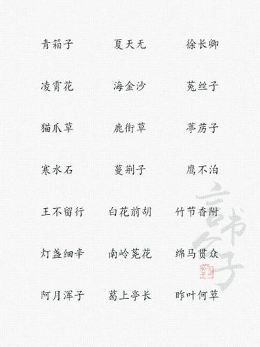 中药好听的女孩名字