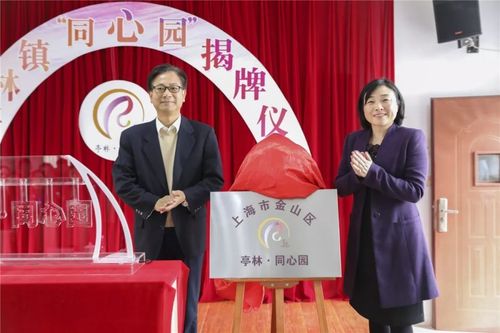 亭林镇领导班子名字