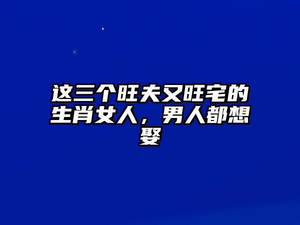 哪些生肖女男人最想娶