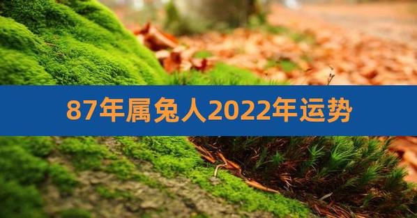 87年兔2021年婚姻运势及运程
