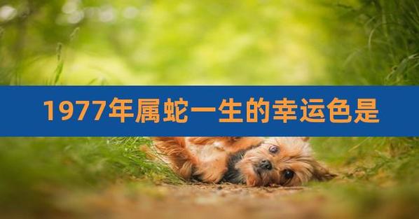 77年属蛇人一生命运如何