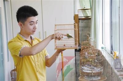 家中养鸟的话会有什么风水影响吗