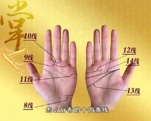 手相告诉你适合的职业