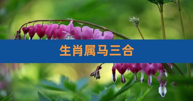 马和什么属相相合