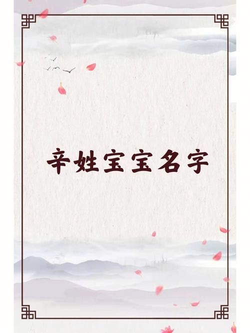 辛姓男孩名字有寓意