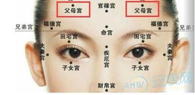 面相十二宫介绍之第十一宫:父母宫